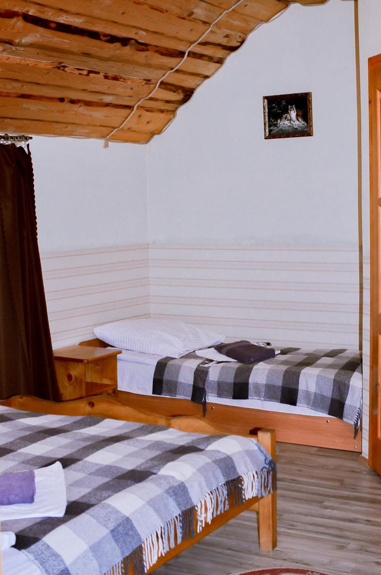 Guest House Mandrivnyi Rooms&Apartments 亚西尼亚 外观 照片