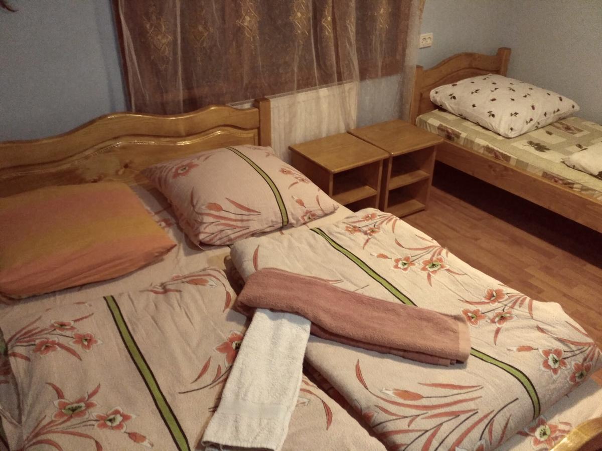 Guest House Mandrivnyi Rooms&Apartments 亚西尼亚 外观 照片